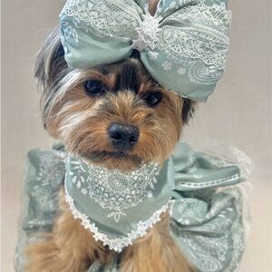 Cute Elegant Green Dog Bandana and Bow Set